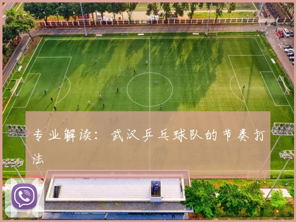 专业解读：武汉乒乓球队的节奏打法