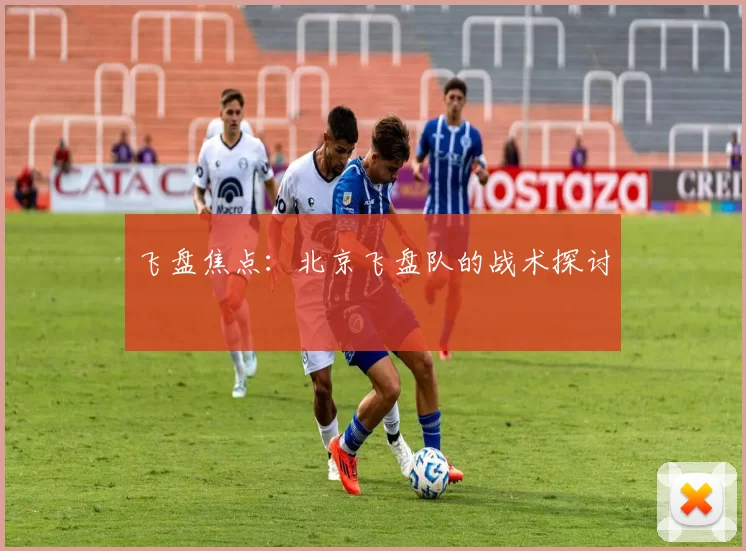 飞盘焦点：北京飞盘队的战术探讨