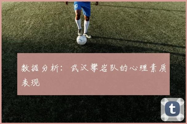 数据分析：武汉攀岩队的心理素质表现