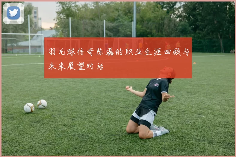 羽毛球传奇陈磊的职业生涯回顾与未来展望对话