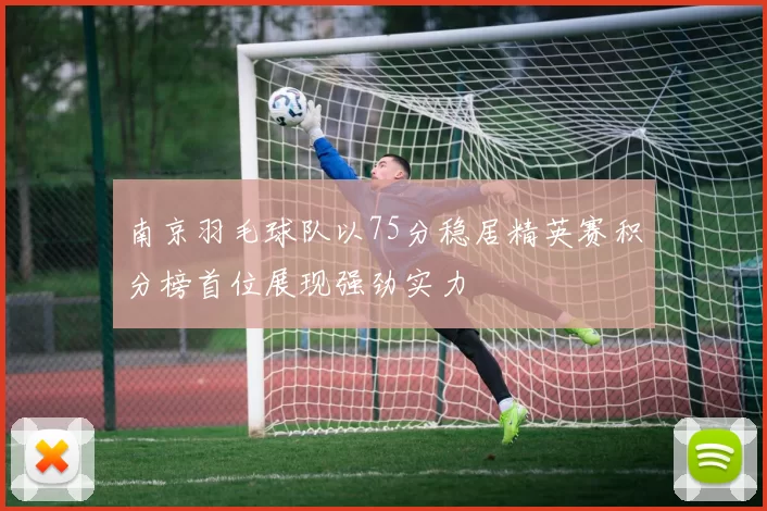 南京羽毛球队以75分稳居精英赛积分榜首位展现强劲实力